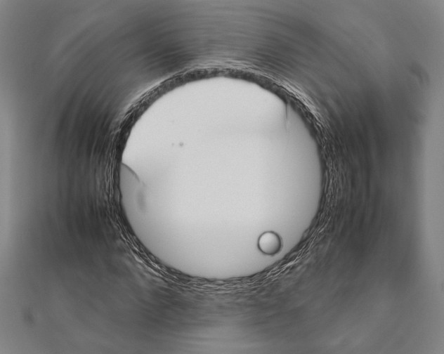 X0000111780872200908201108