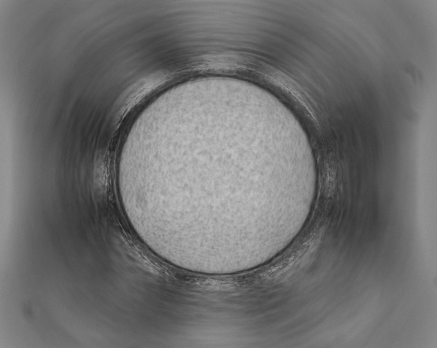 X0000111780874200908201108