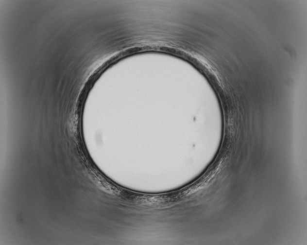 X0000111780879200908201108