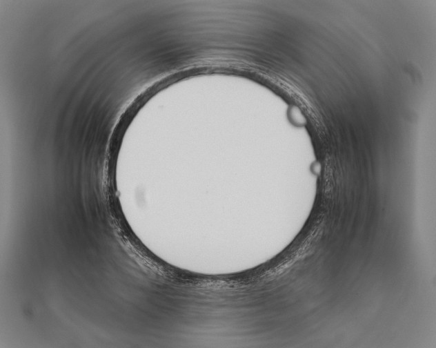 X0000111780880200908201108