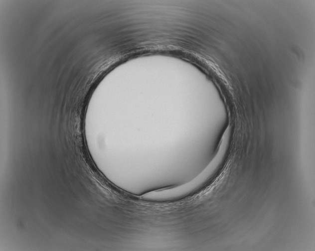 X0000111780881200908201108