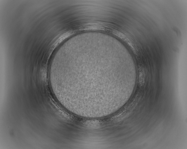 X0000111780882200908201108