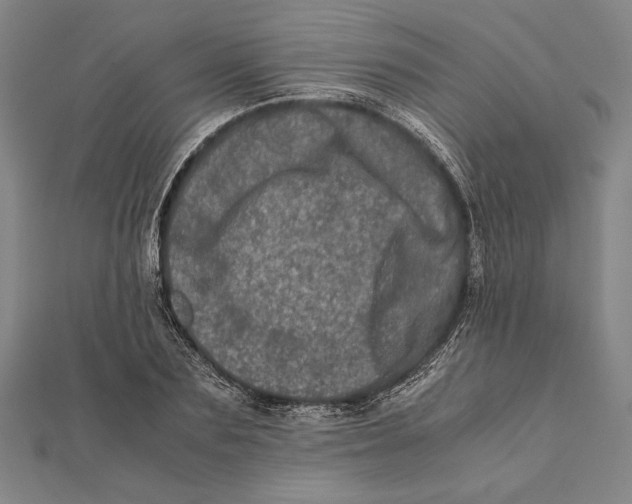 X0000111780883200908201108