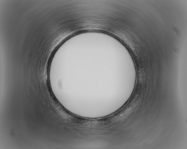 X0000111780885200908201108