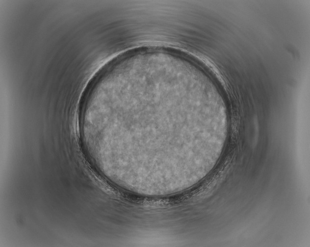 X0000111780887200908201108
