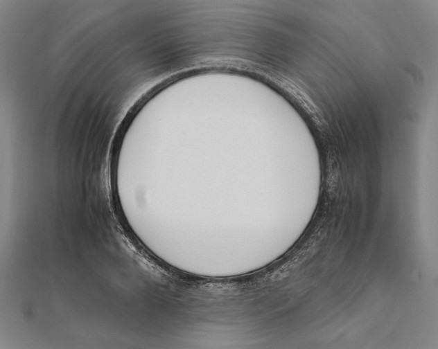 X0000111780888200908201108