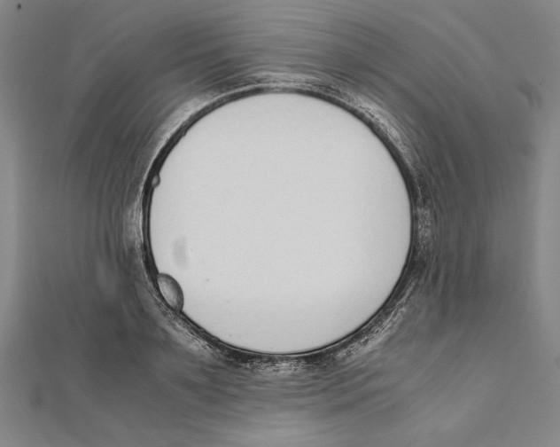 X0000111780891200908201107