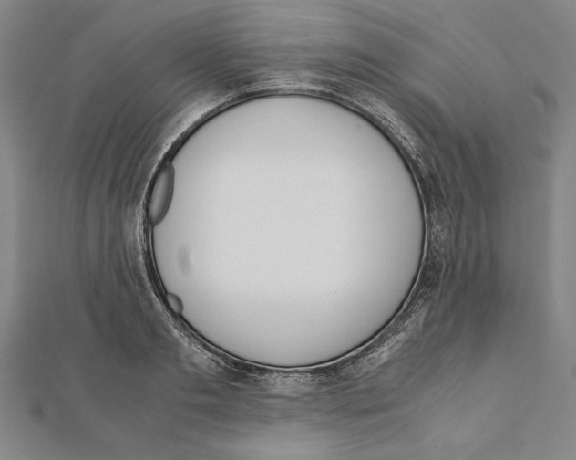 X0000111780893200908201107