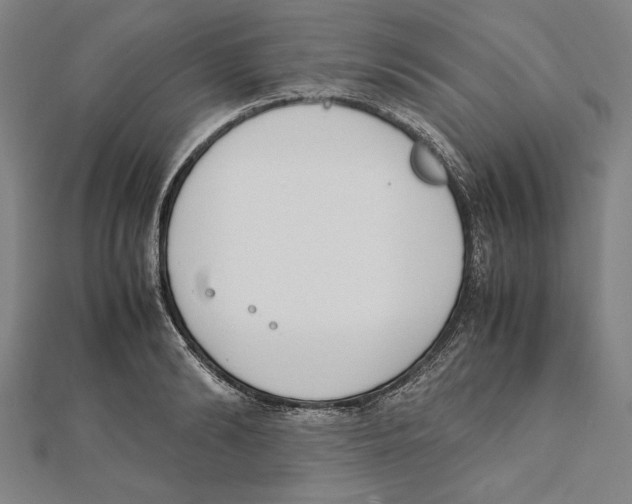 X0000111780894200908201107