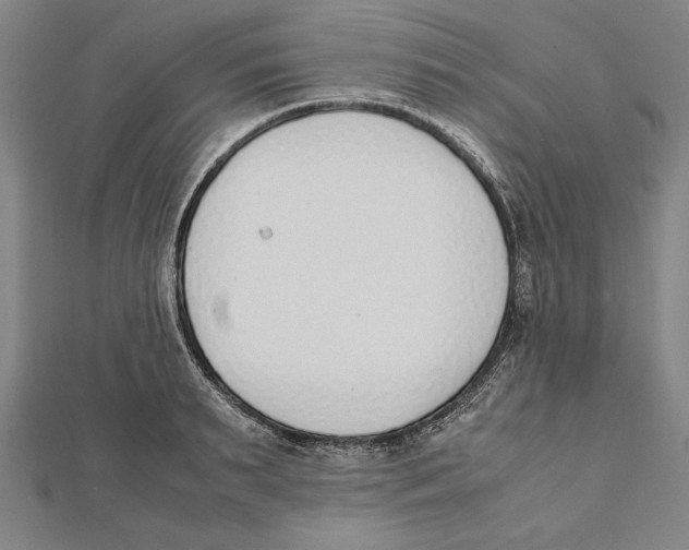 X0000111780895200908201107