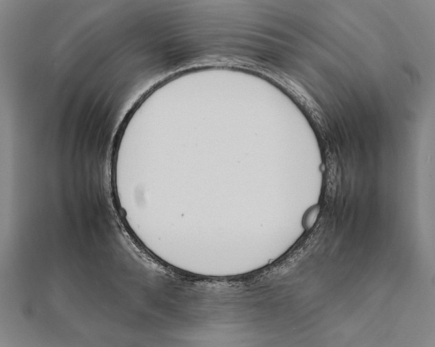 X0000111780896200908201107