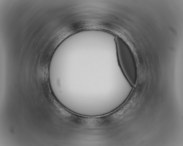 X0000111780897200908201107