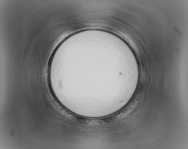 X0000111780899200908201107