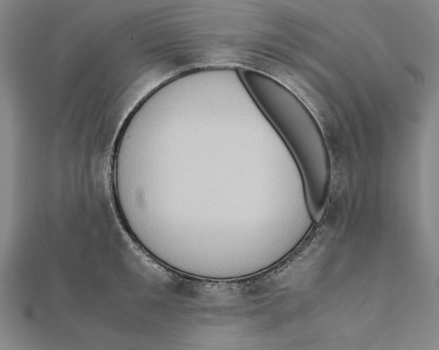 X0000111780901200908201107