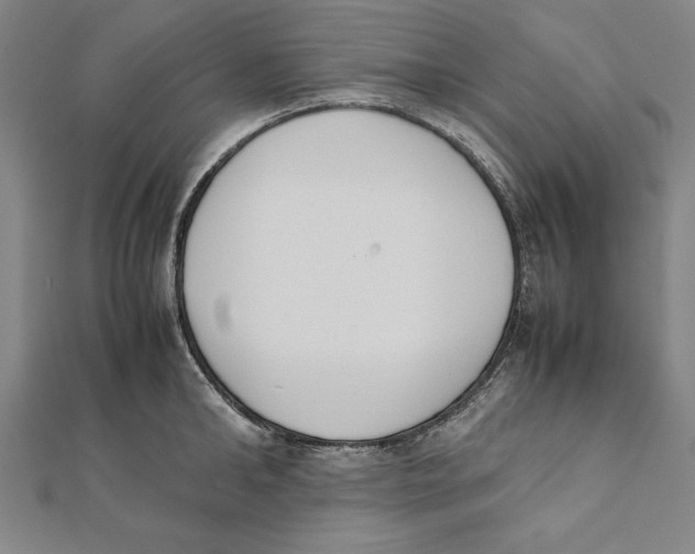 X0000111780902200908201107