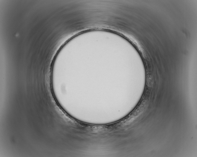 X0000111780903200908201107