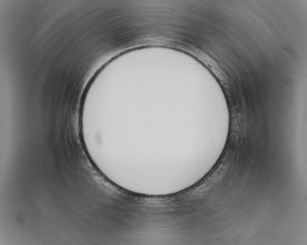 X0000111780904200908201107