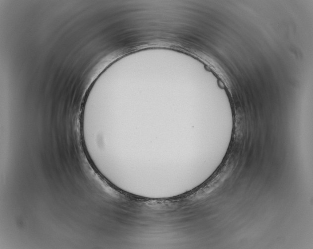 X0000111780906200908201107