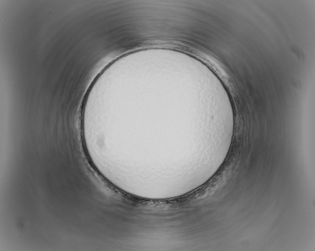 X0000111780907200908201107