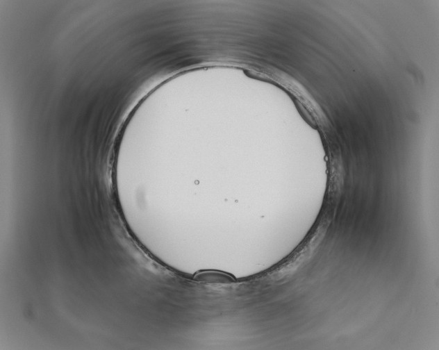 X0000111780908200908201107