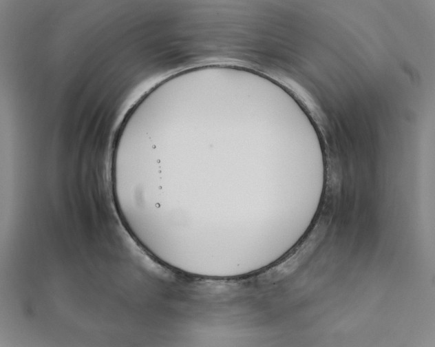 X0000111780910200908201107