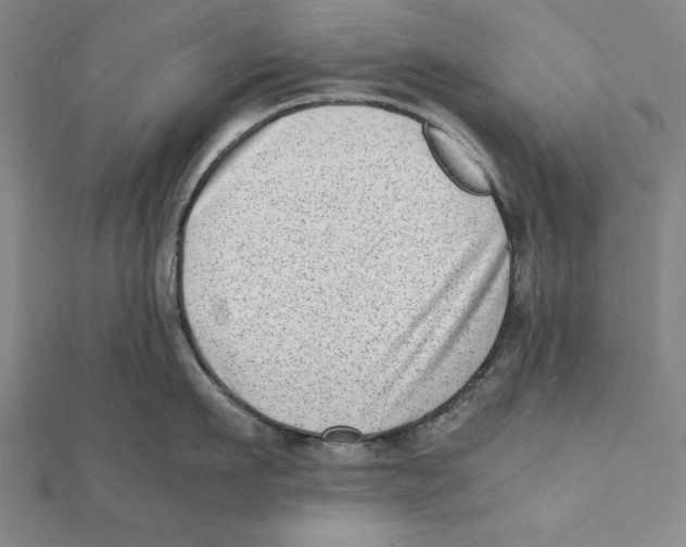 X0000111780911200908201107