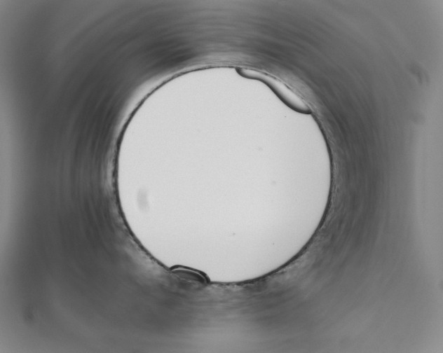 X0000111780912200908201107