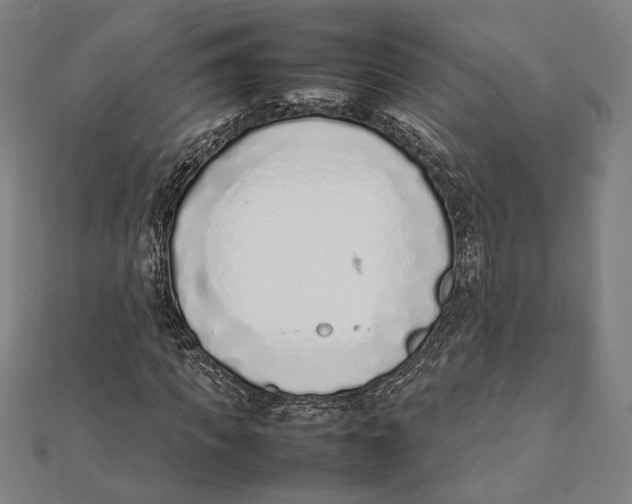 X0000111780917200908201107