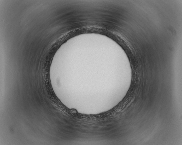 X0000111780919200908201107