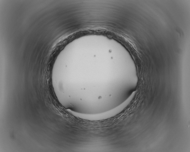 X0000111780920200908201107