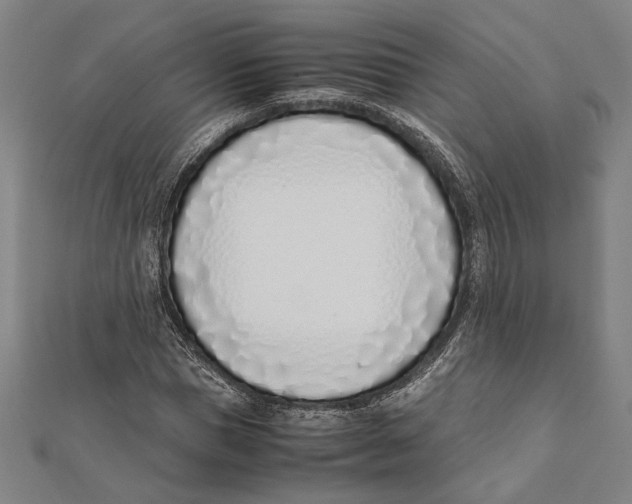 X0000111780921200908201107