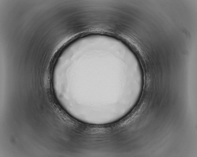 X0000111780925200908201107