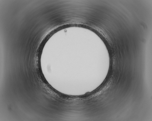 X0000111780926200908201107