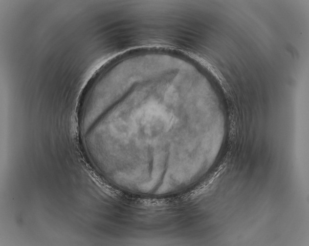 X0000111780927200908201107