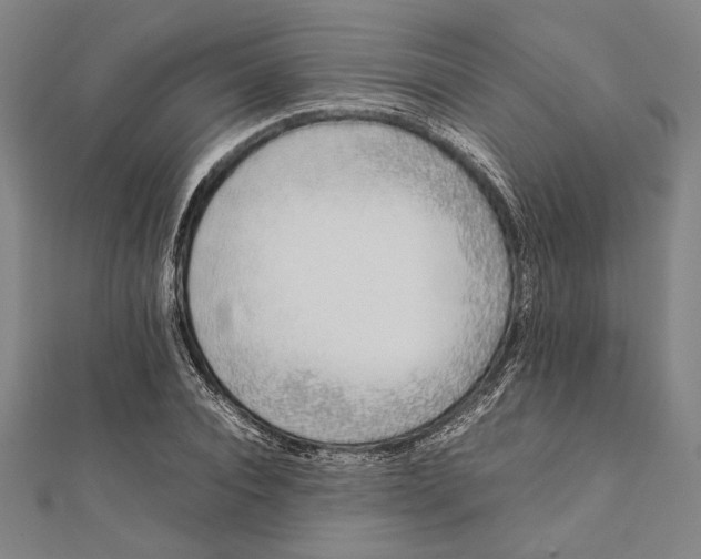 X0000111780928200908201107