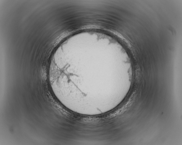 X0000111780929200908201107
