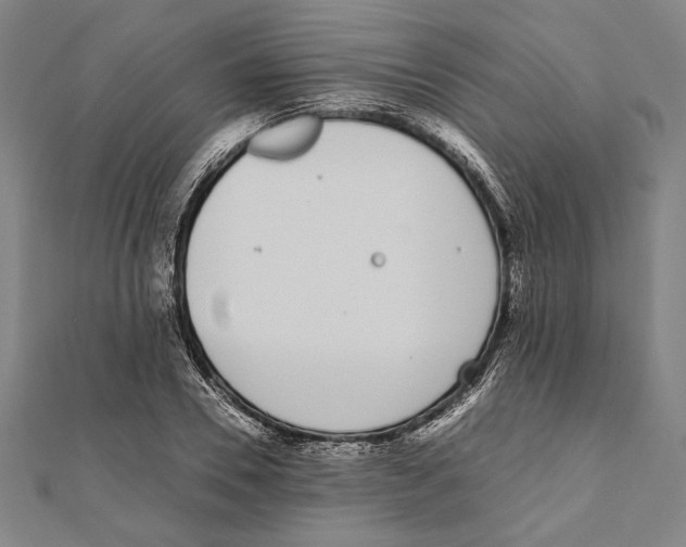 X0000111780930200908201107