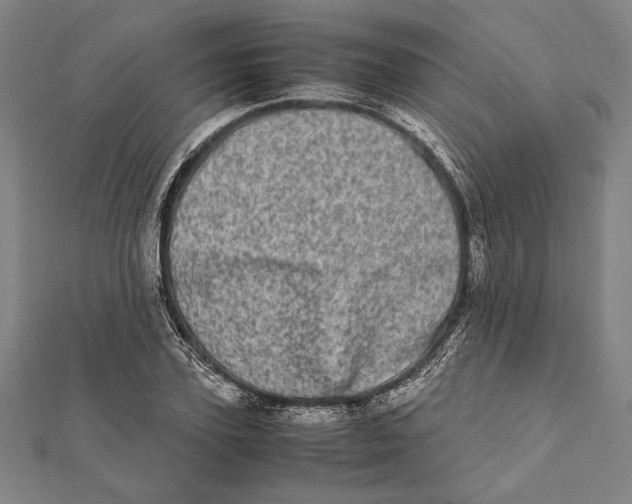 X0000111780931200908201107