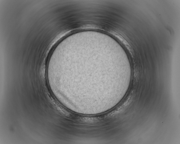 X0000111780933200908201107