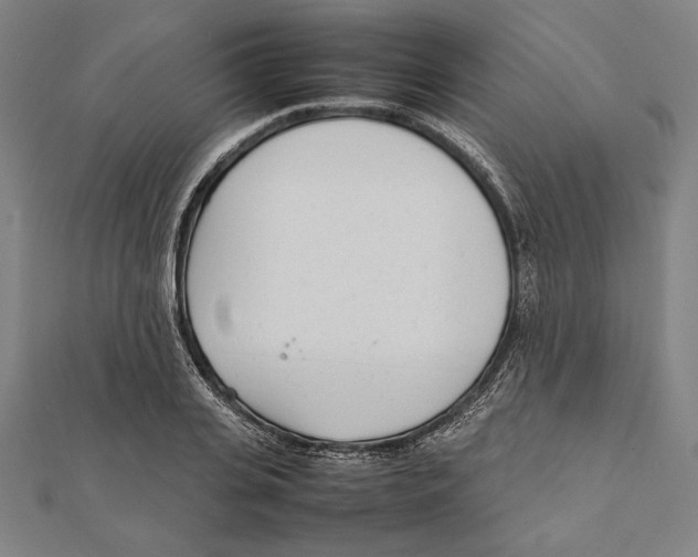 X0000111780935200908201107
