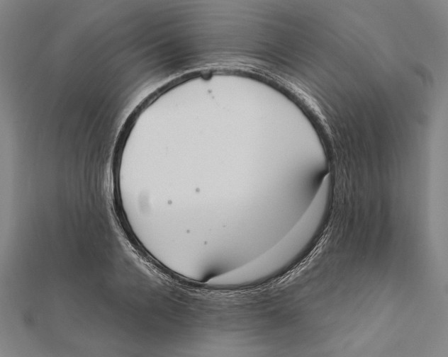 X0000111780936200908201107