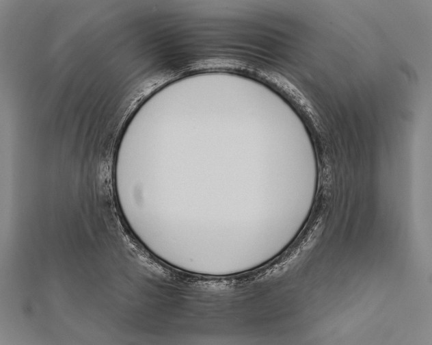 X0000111780937200908201107