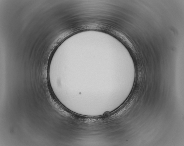 X0000111780938200908201107