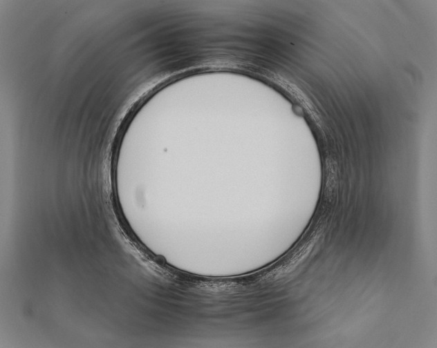 X0000111780939200908201107