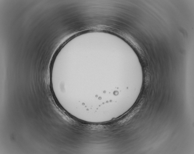 X0000111780940200908201107