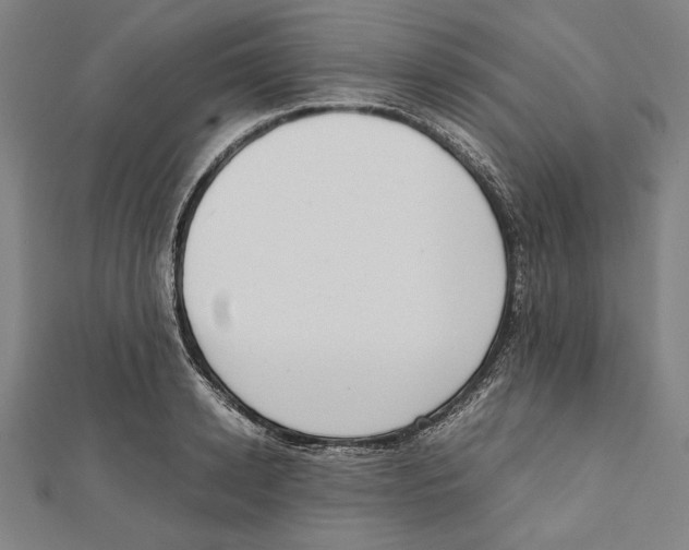 X0000111780942200908201107