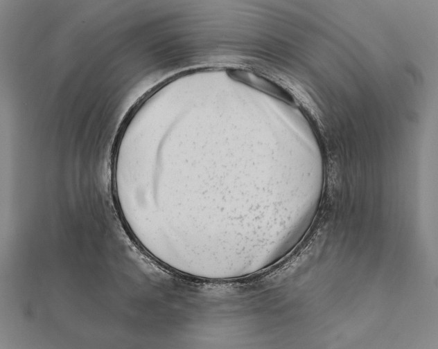 X0000111780944200908201107