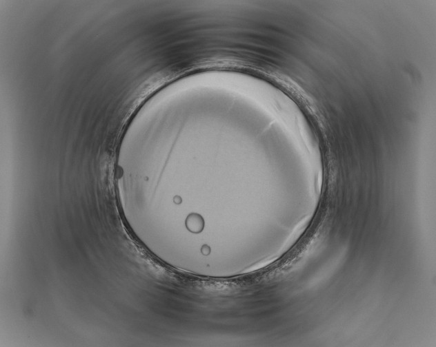 X0000111780945200908201107