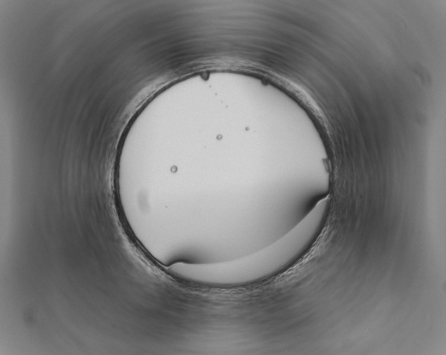 X0000111780946200908201107