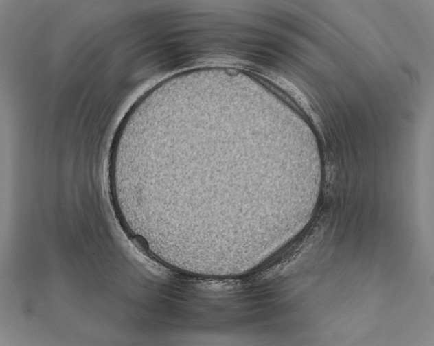 X0000111780947200908201107